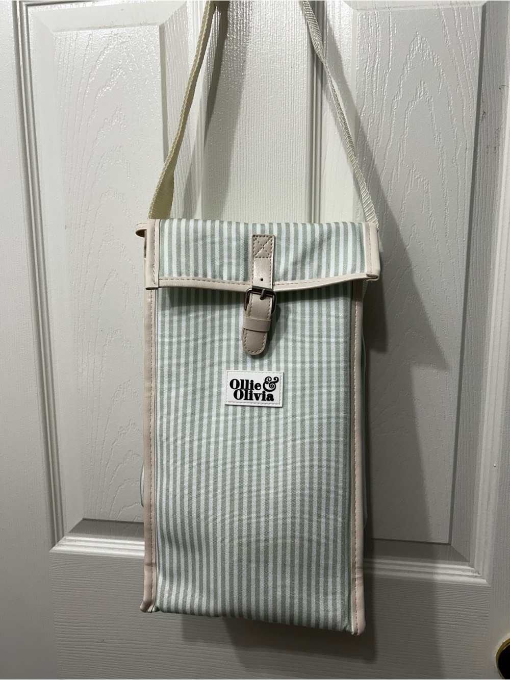 Cooler Bag in Light Green Strip